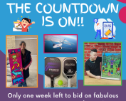 Silent Auction